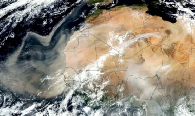 Poeira do deserto do Saara chega ao Brasil e afeta Norte e Nordeste; entenda