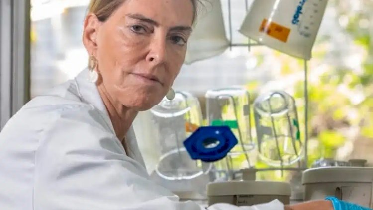 Cientista Tatiana Sampaio leva esperança a pacientes com lesão medular